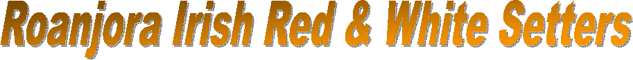 Roanjora Websites